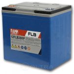 FIAMM UPS BATTERY 12FLB200
