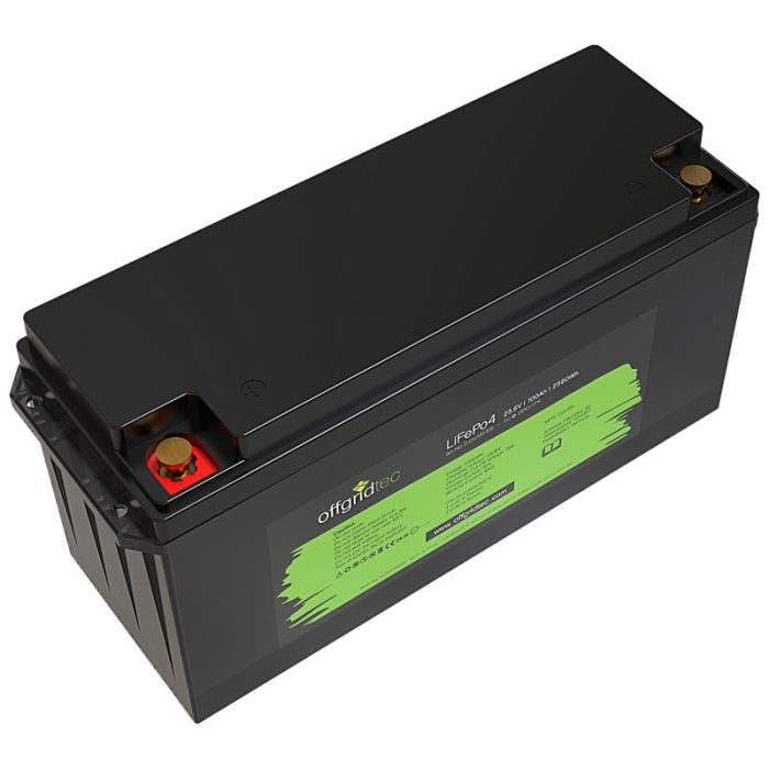 LifePo4 battery 25.6/100 25.6V 100Ah BMS integrated 2560Wh - Image 2