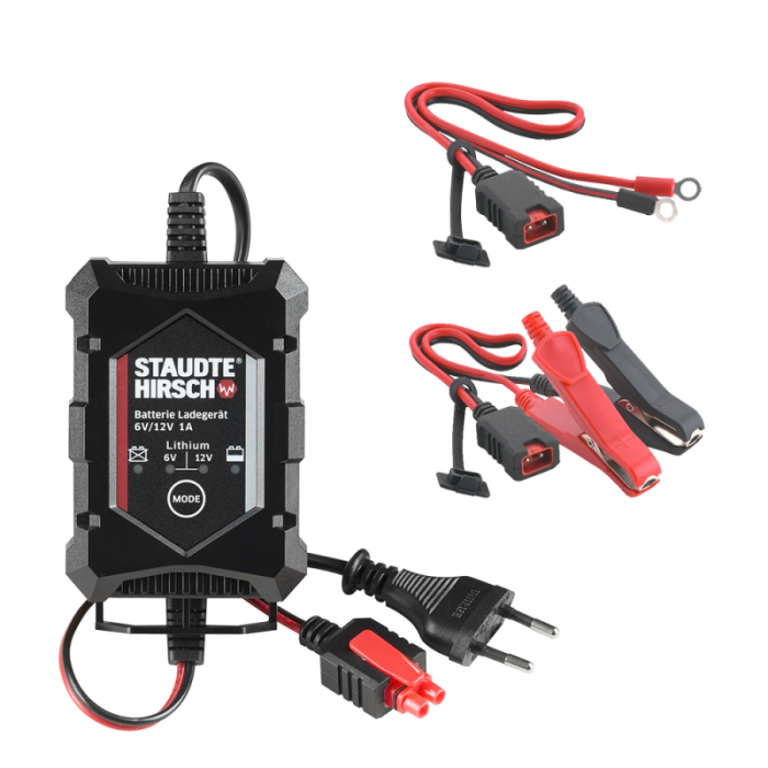 set Staudte Hirsch "Charge & Check" - Image 2