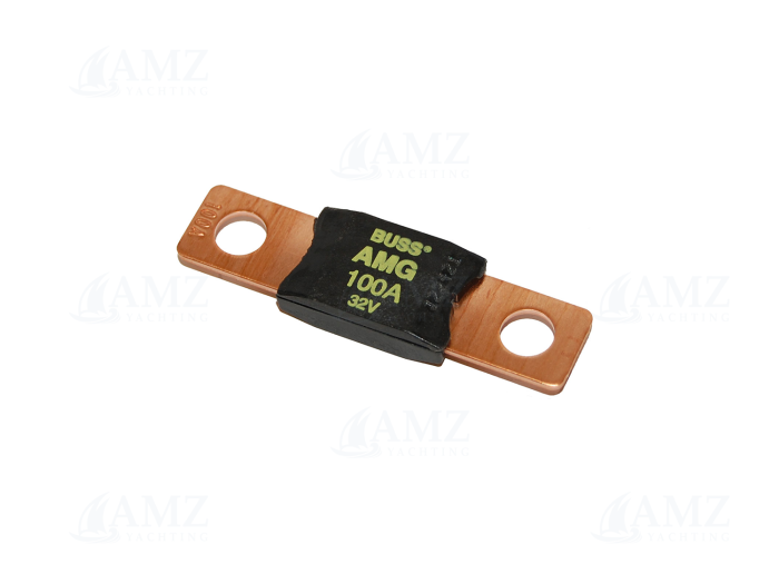 Heavy Duty Fuse  2x100A - Image 1