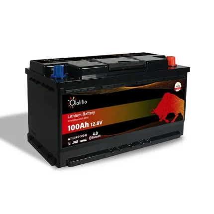 Batterie Lithium 100Ah 12V LiFePO4 sous le siège-Bluetooth-BMS-Olalitio