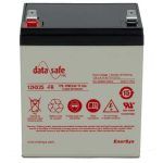 UPS-DataSafe  12V 25W/cell