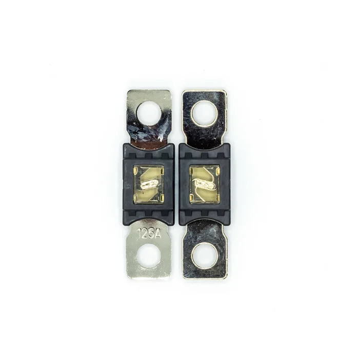 Heavy Duty Fuse  2x125A - Image 1